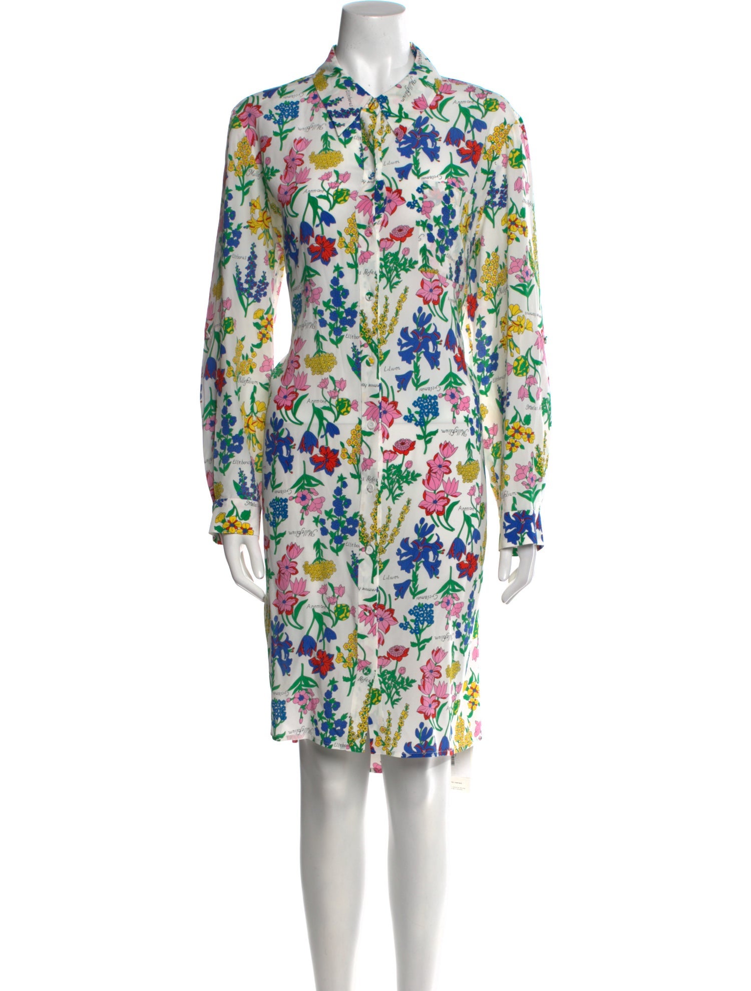 Diane von Furstenberg Floral Print Knee-Length Dress