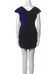 Diane von Furstenberg Wool Mini Dress