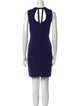 Diane von Furstenberg Crew Neck Mini Dress
