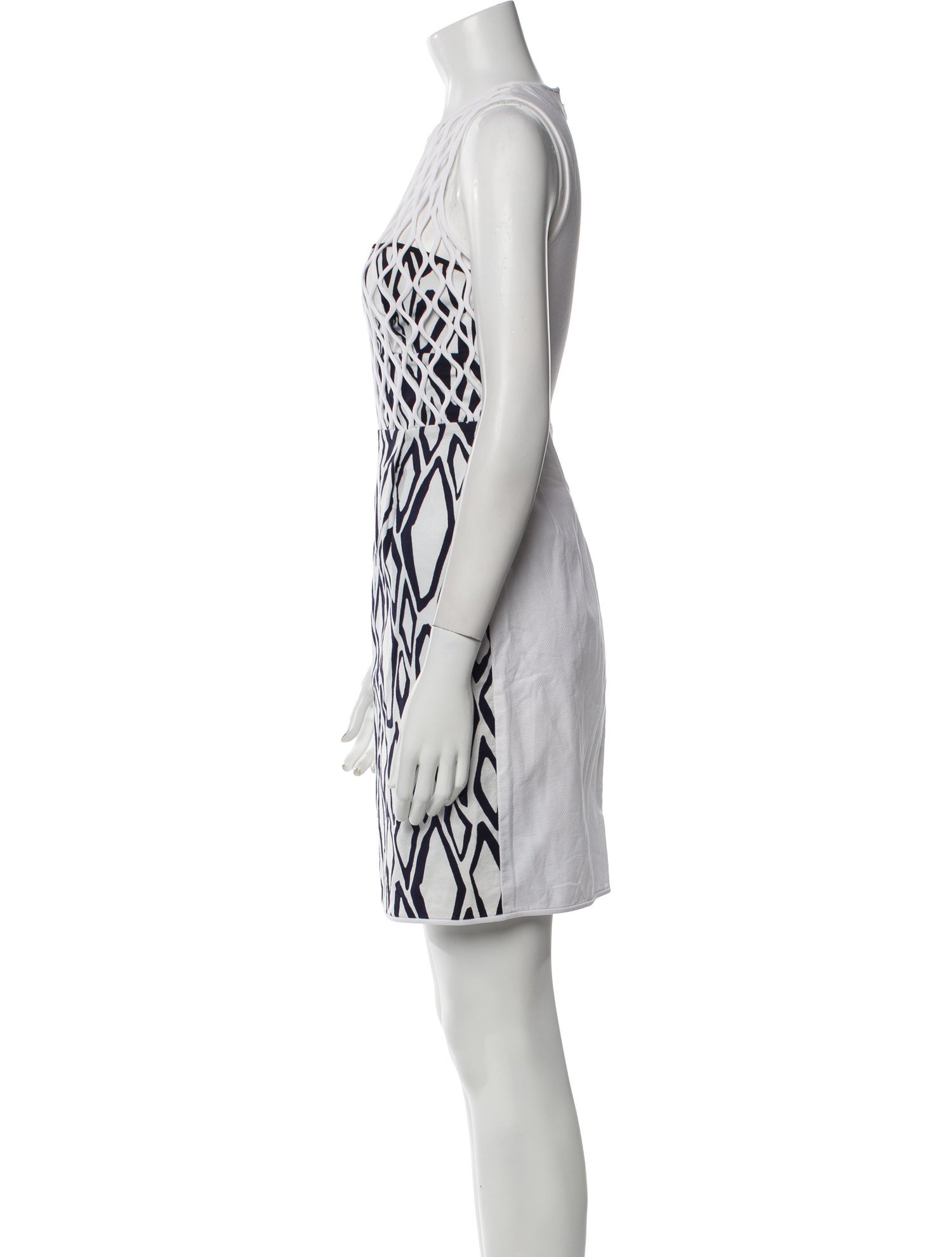Diane von Furstenberg Printed Mini Dress