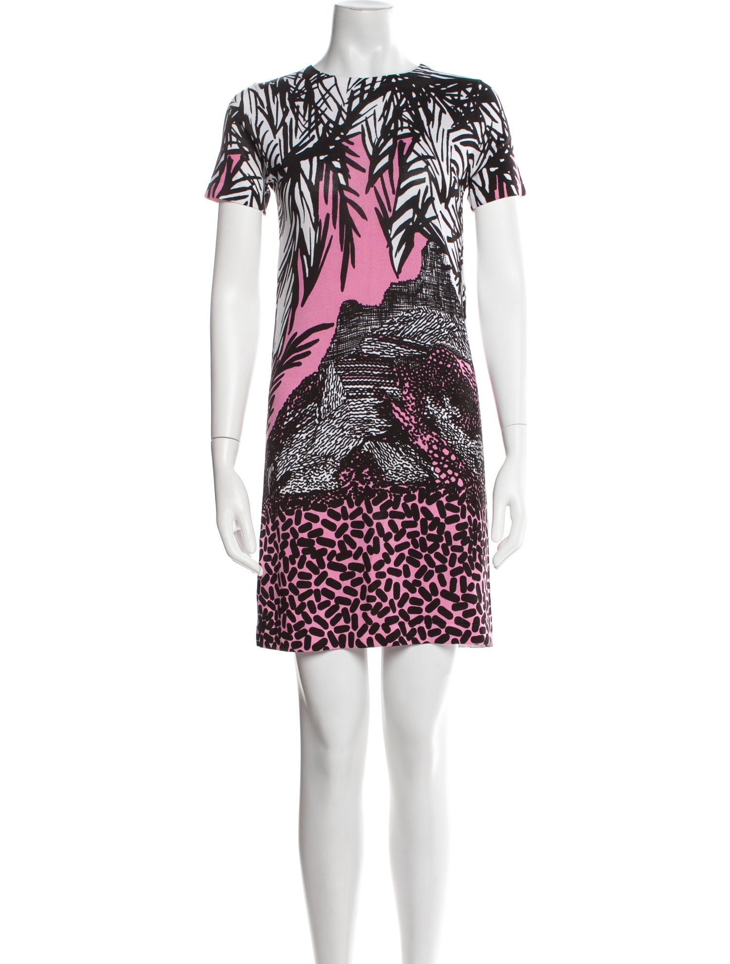 Diane von Furstenberg Printed Mini Dress