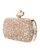 Diane von Furstenberg Crystal Minaudière