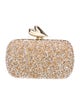 Diane von Furstenberg Crystal Minaudière