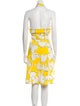 Diane von Furstenberg Printed Midi Length Dress