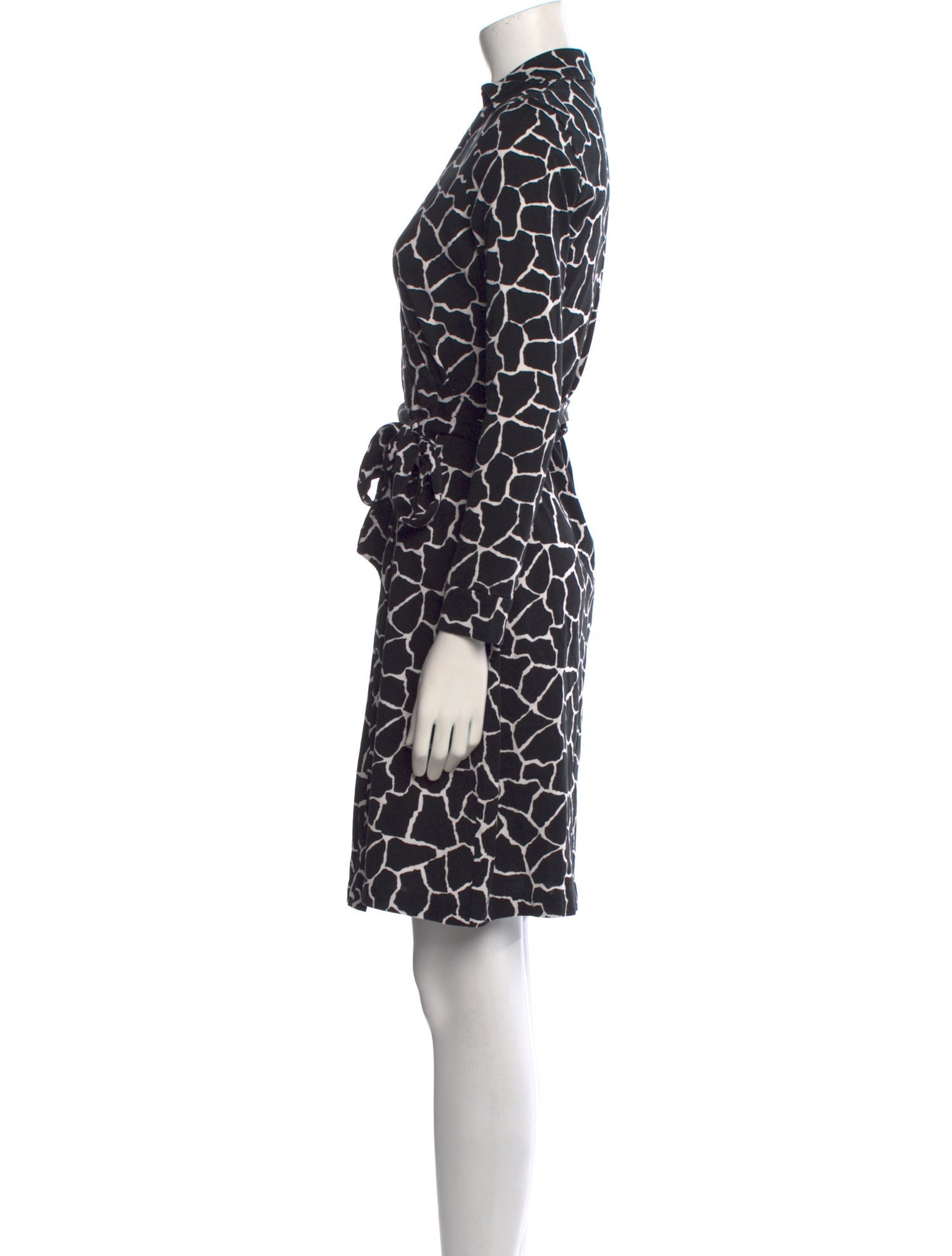 Diane von Furstenberg Printed Mini Dress