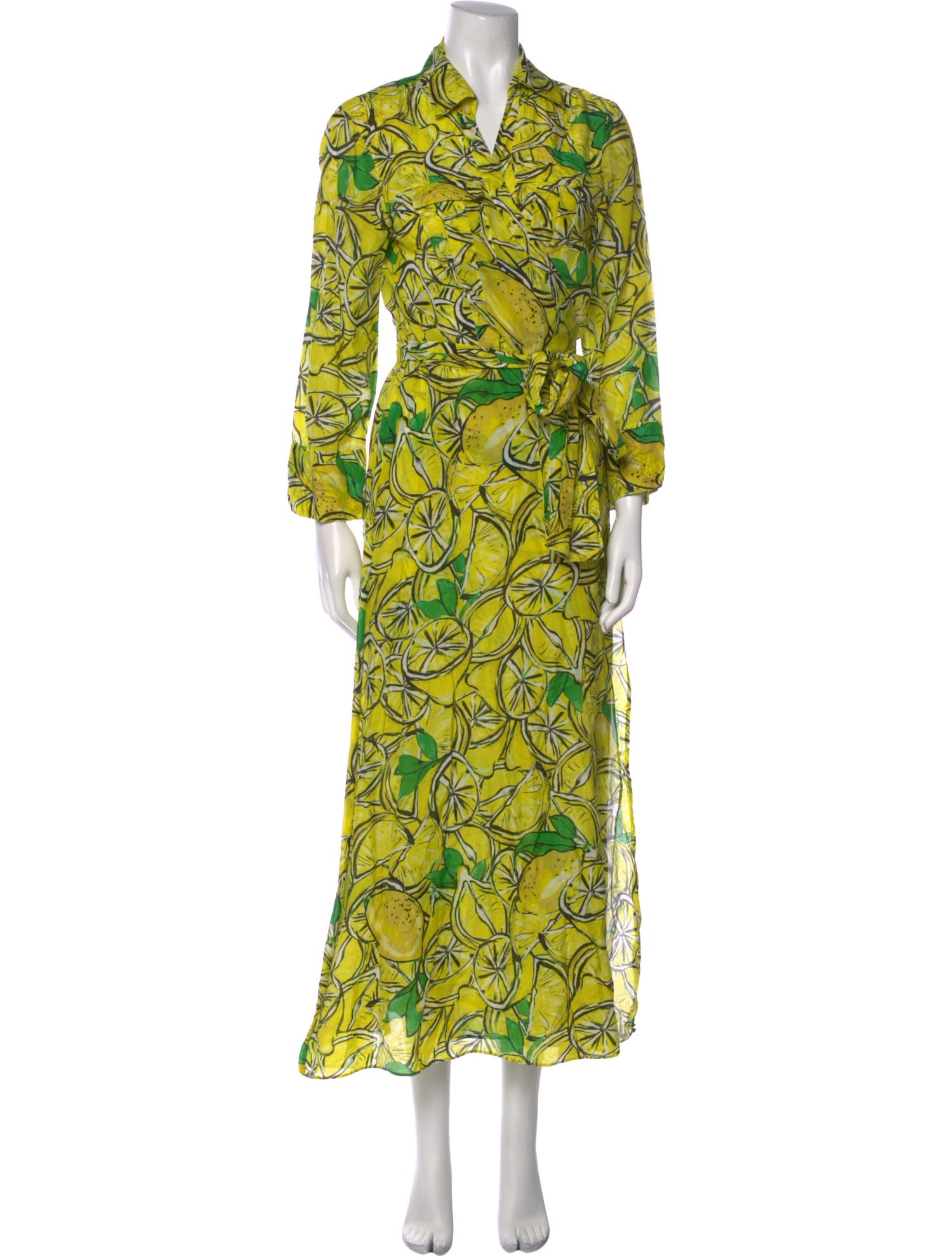Diane von Furstenberg Printed Long Dress