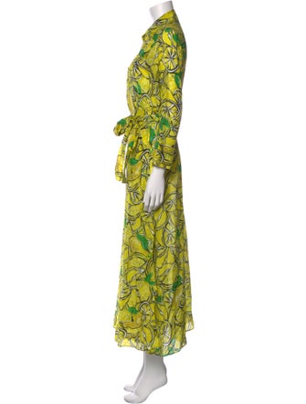 Diane von Furstenberg Printed Long Dress
