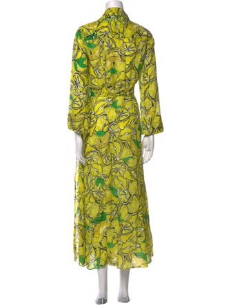 Diane von Furstenberg Printed Long Dress