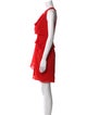 Diane von Furstenberg Cowl Neck Mini Dress