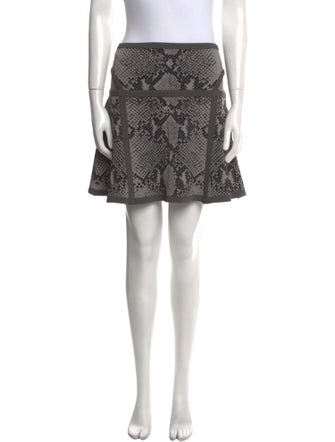 Diane von Furstenberg Animal Print Mini Skirt