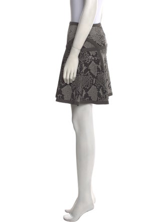 Diane von Furstenberg Animal Print Mini Skirt