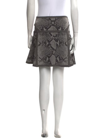 Diane von Furstenberg Animal Print Mini Skirt