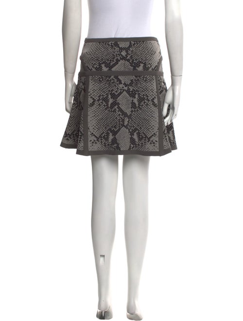 Diane von Furstenberg Animal Print Mini Skirt