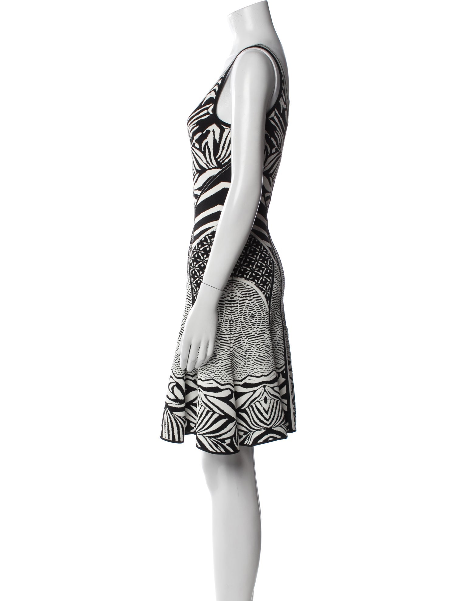 Diane von Furstenberg Printed Mini Dress
