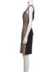 Diane von Furstenberg Animal Print Knee-Length Dress