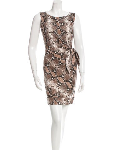 Diane von Furstenberg Printed Silk Dress