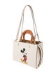Disney x Coach Leather Top Handle Bag