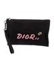 DIOR x KAWS Nylon Logo Pouch