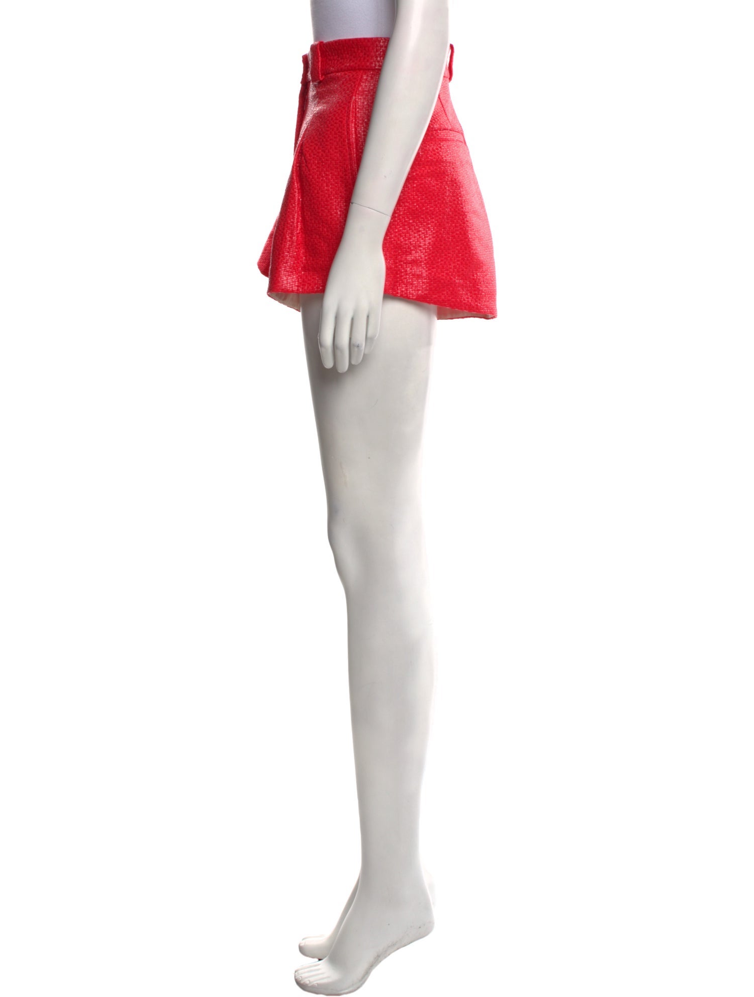 Diotima Mini Shorts w/ Tags