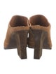 Donald Pliner Suede Mules