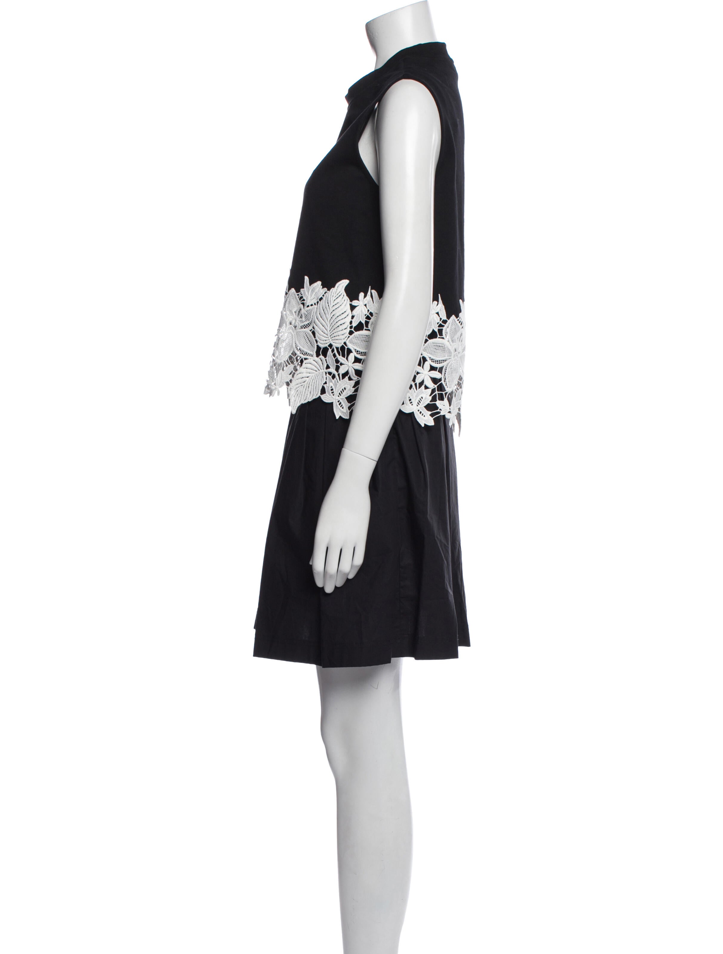 Derek Lam 10 Crosby Floral Print Pleated Accents Dress Set