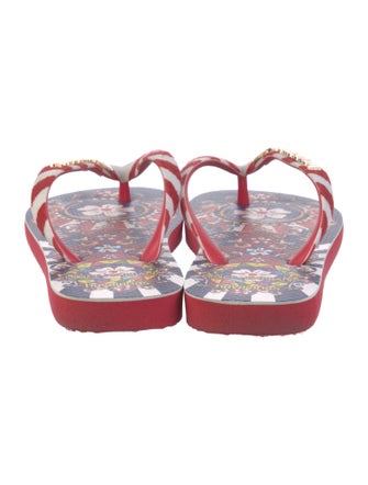 Dolce & Gabbana x Havaiana Printed Flip Flops