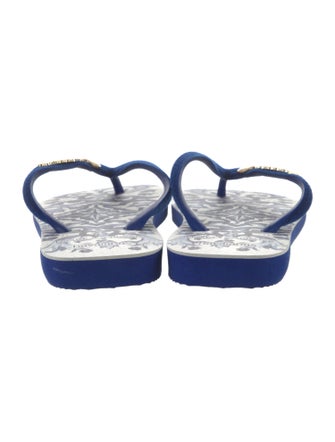 Dolce & Gabbana x Havaiana Velvet Printed Flip Flops