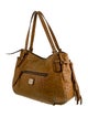 Dooney & Bourke Ostrich Shoulder Bag