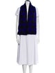 Daniela Gregis Cashmere Striped Scarf