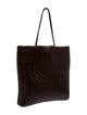 Dragon Diffusion Straw Top Handle Bag