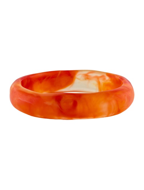 Dinosaur Designs Resin Bangle Bracelet