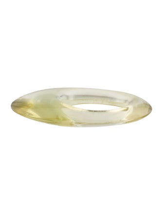 Dinosaur Designs Resin Bangle