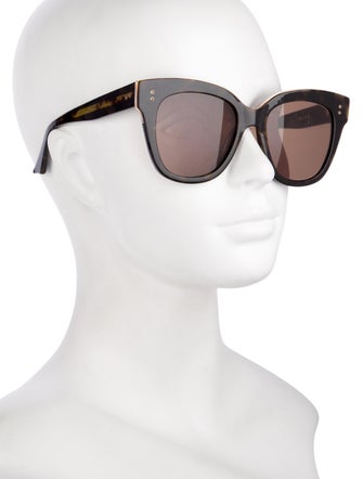 Dita Wayfarer Tinted Sunglasses