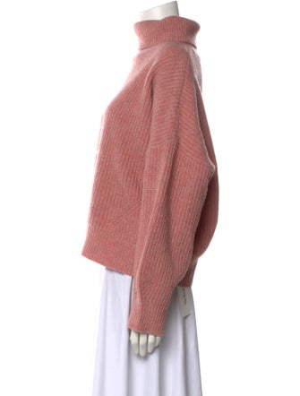 Demylee Wool Turtleneck Sweater