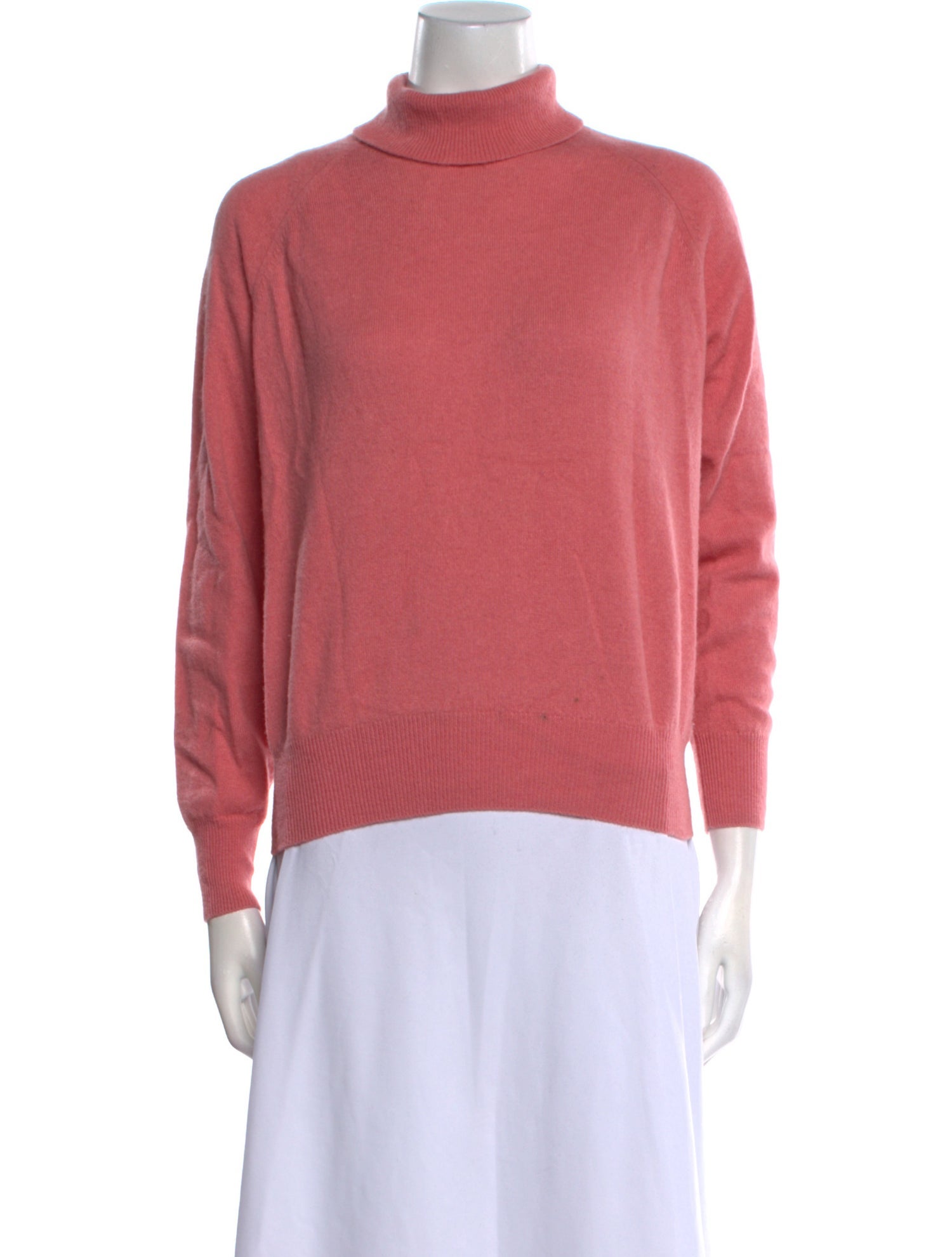 Demylee Cashmere Turtleneck Sweater