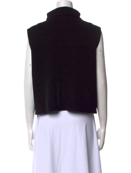 Demylee Wool Turtleneck Sweater