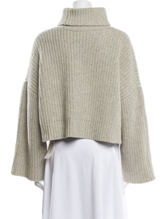 Demylee Wool Turtleneck Sweater