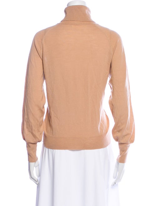 Demylee Wool Turtleneck Sweater