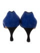Jean Claude Jitrois Suede Pumps