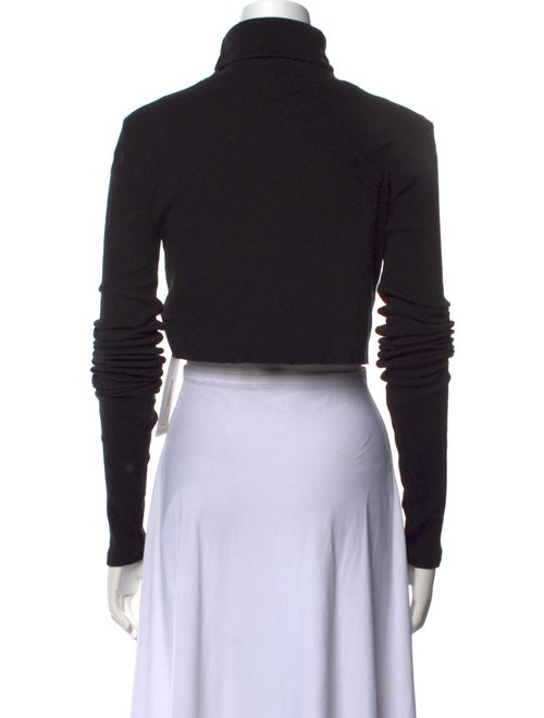 Éterne Turtleneck Long Sleeve Crop Top