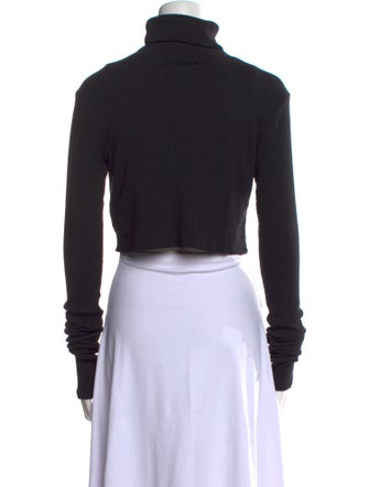 Éterne Turtleneck Long Sleeve Crop Top