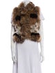 Elizabeth and James Fur Animal Print Fur Jacket