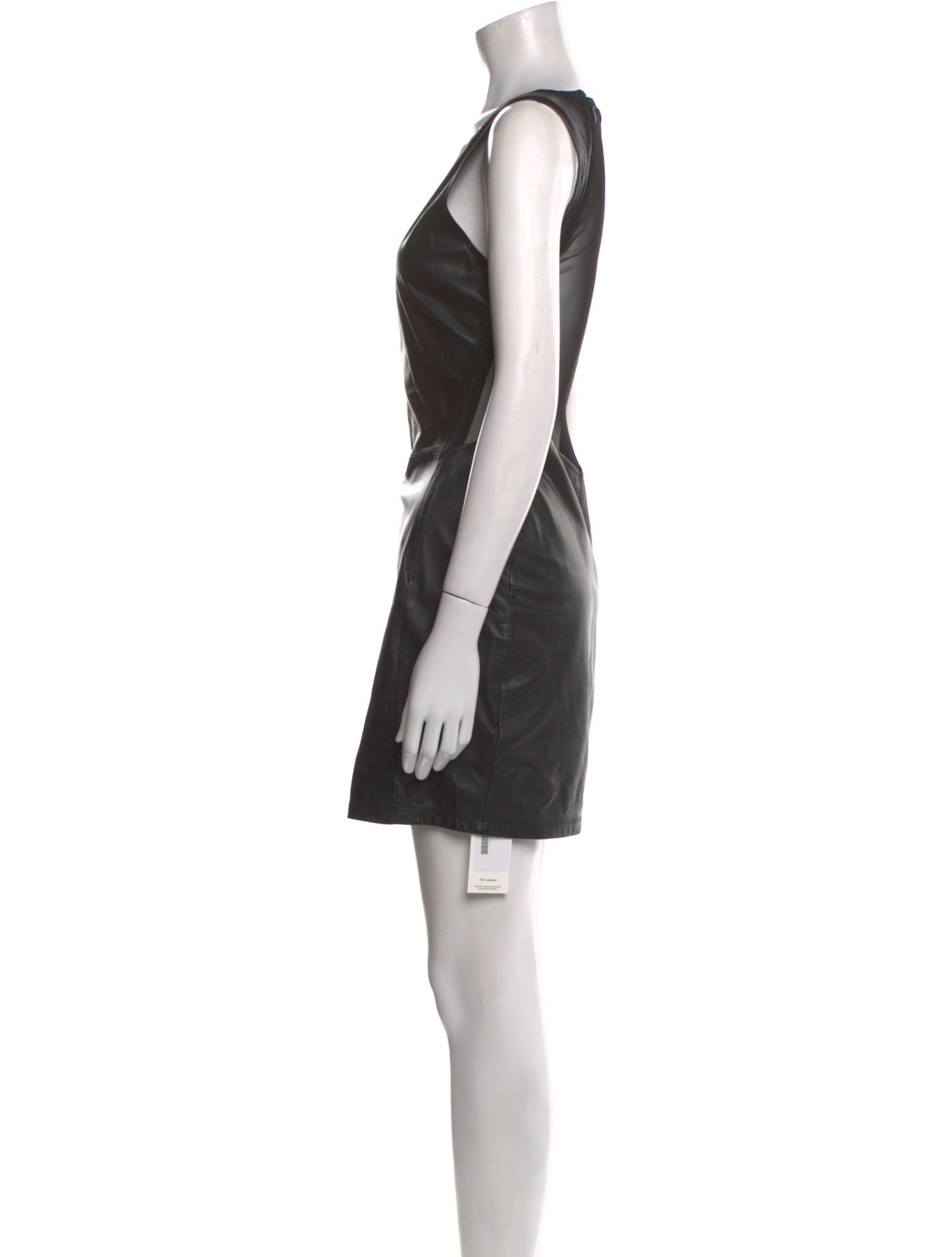 Elizabeth and James Leather Mini Dress