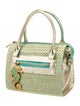 Eric Javits Raffia Top Handle Bag
