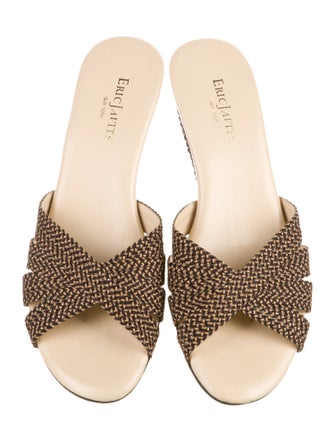 Eric Javits Canvas Slides