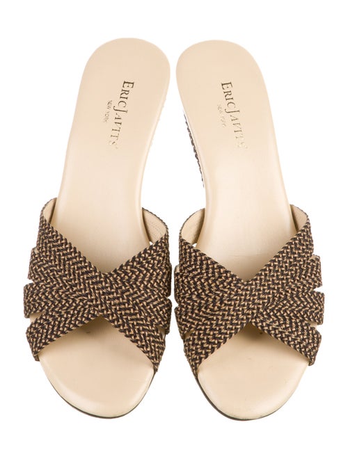 Eric Javits Canvas Slides