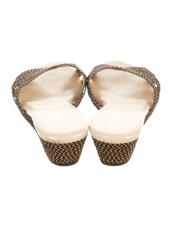 Eric Javits Canvas Slides