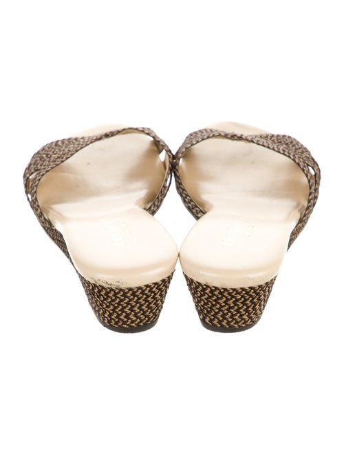 Eric Javits Canvas Slides