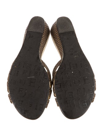 Eric Javits Canvas Slides