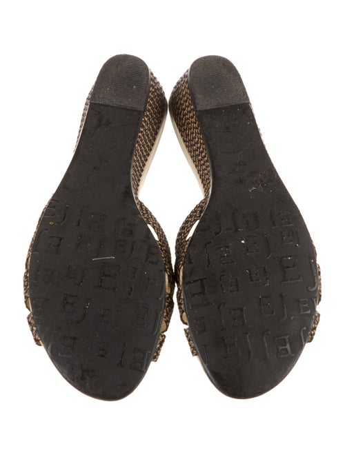 Eric Javits Canvas Slides